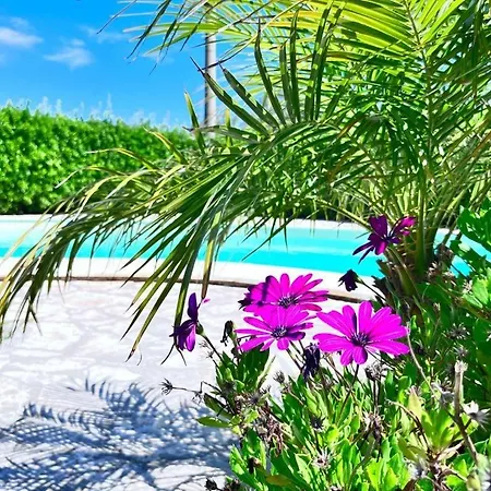 Villa Esclusiva Con Piscina Privata E Vista Mare
